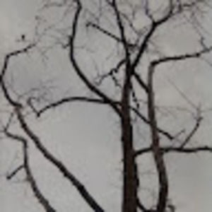 Meet your Posher, Adrian